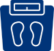 Scale icon